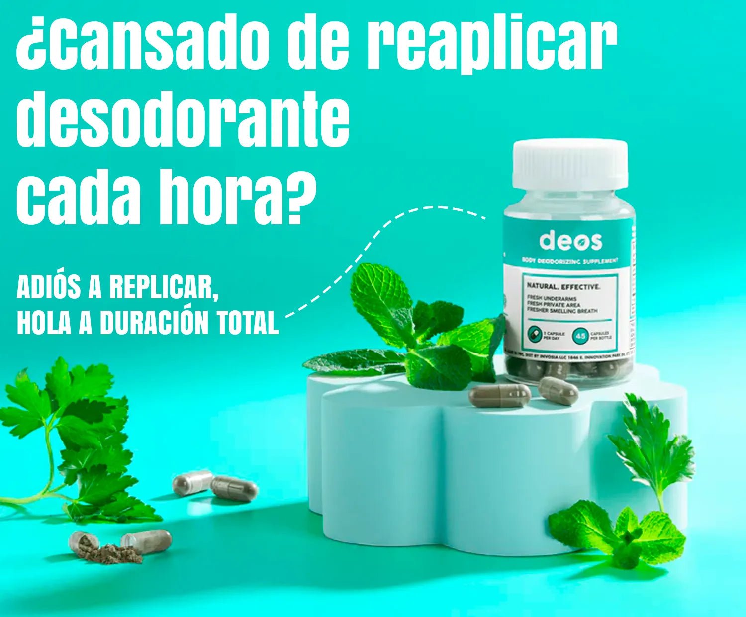 Deos suplemento - ELAYBOL